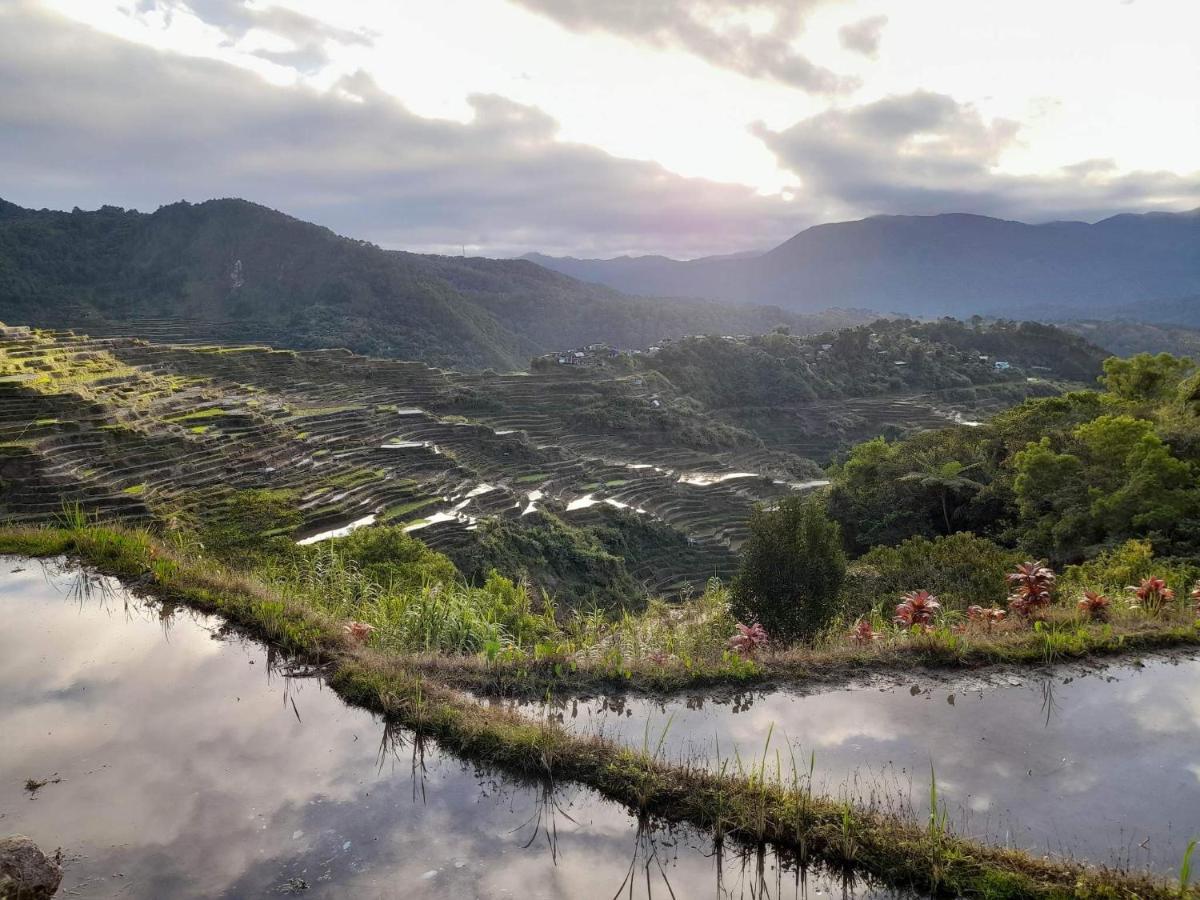 Vilma'S Homestay Bontoc  Extérieur photo
